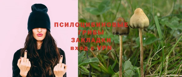 mdpv Новодвинск