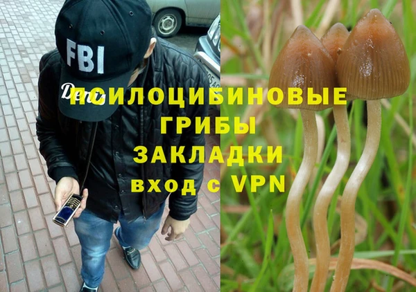 mdpv Новодвинск