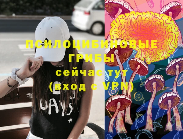 таблы Новокубанск